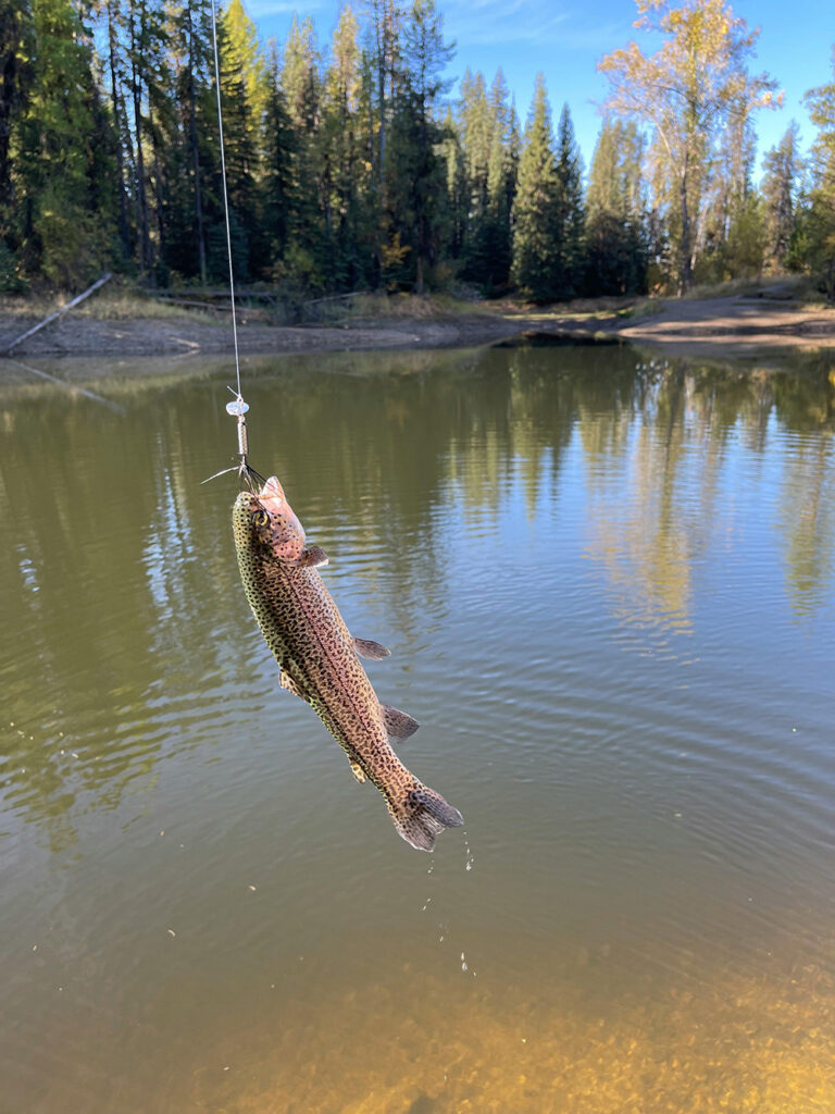 Trout fishing in Idaho