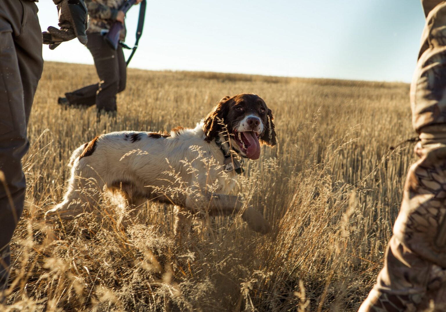 Hunting in Idaho