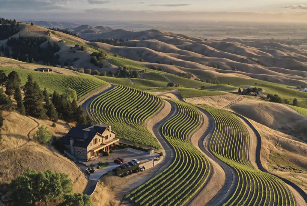 Aerial view of vineyards at Bellarossa Eagle Idaho community